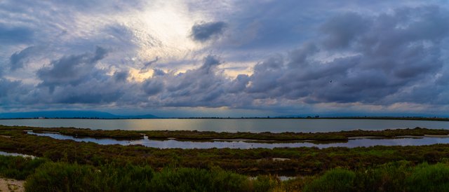 Panorámica