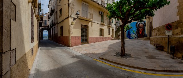 Panorámica
