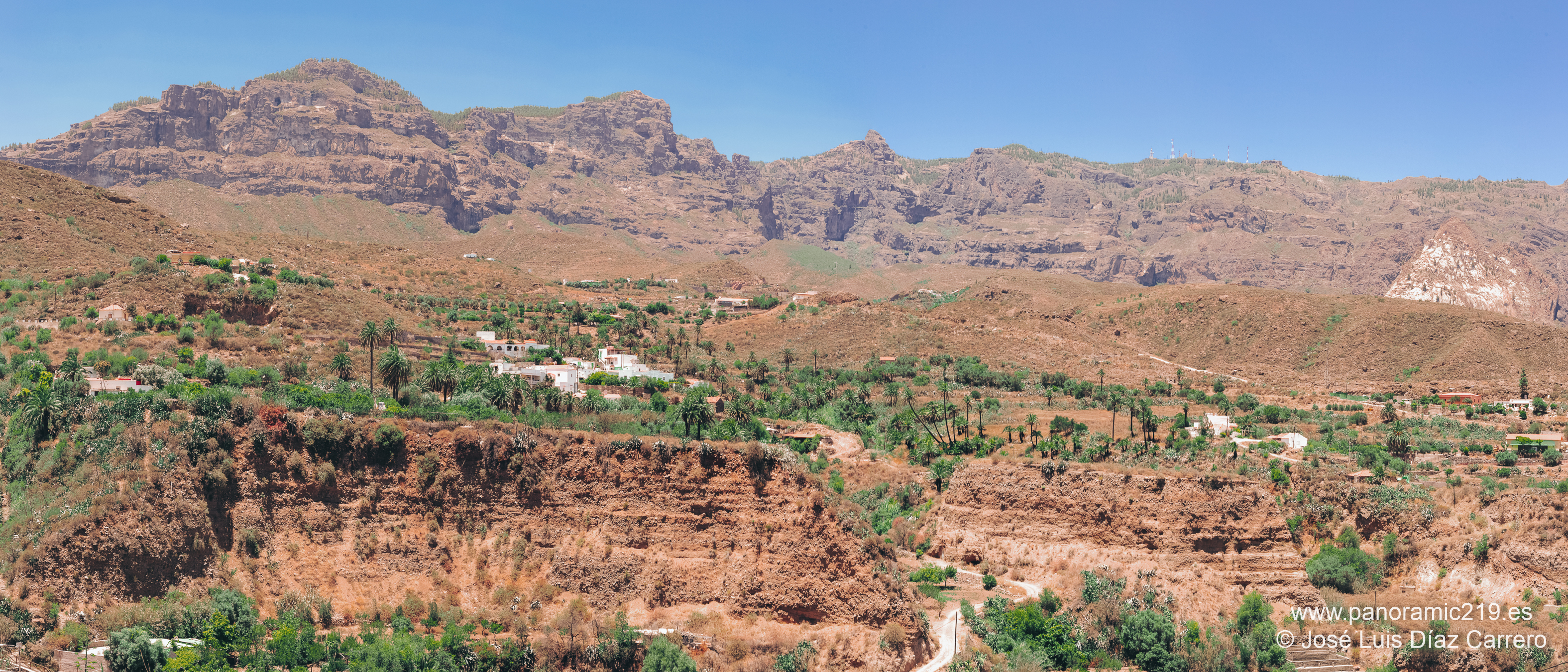 Canarias green
