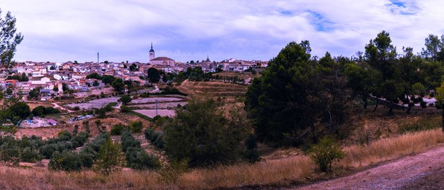 Panorámica
