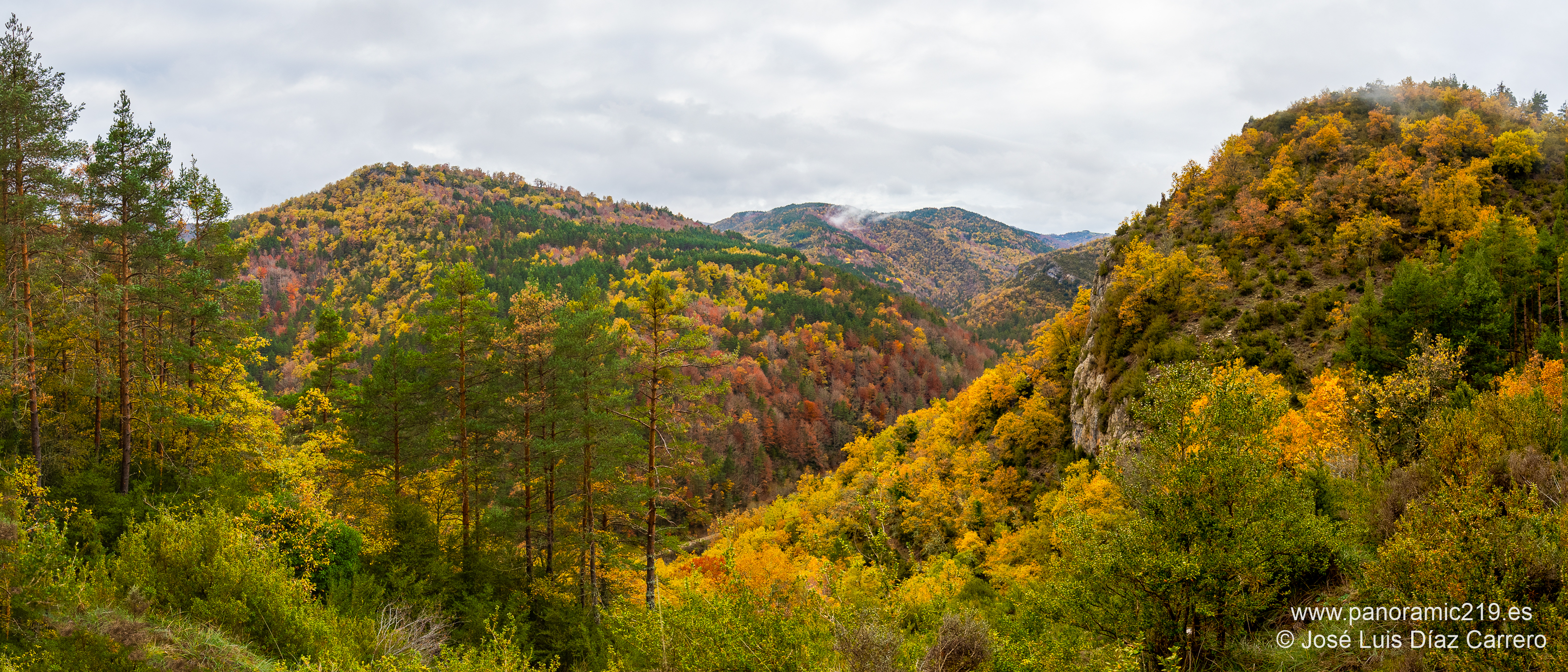 Colores de otoÃ±o en Navarra